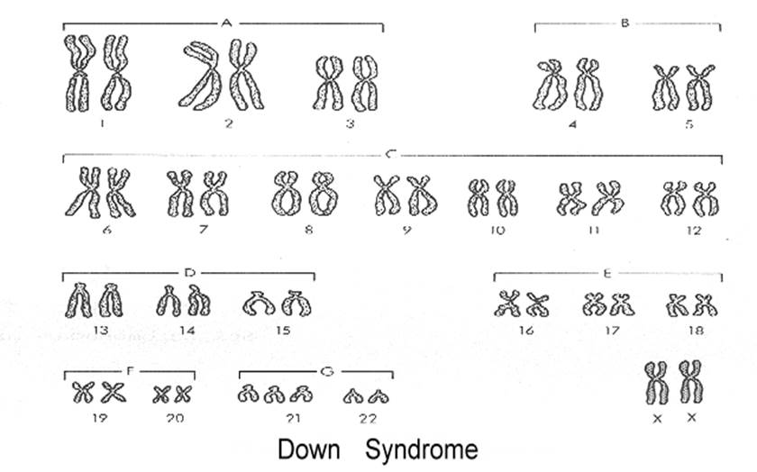 biology study guide