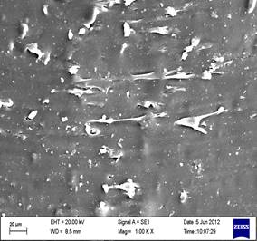 elastomers