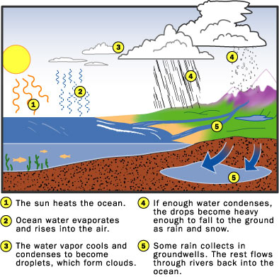 hydroelectric power plants