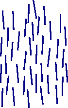 Nematic phase of a liquid crystal