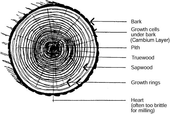 Common building materials